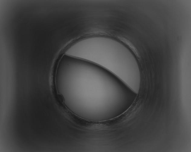 X0000100890399200806241013