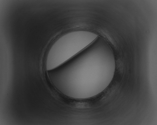 X0000100890400200806241013