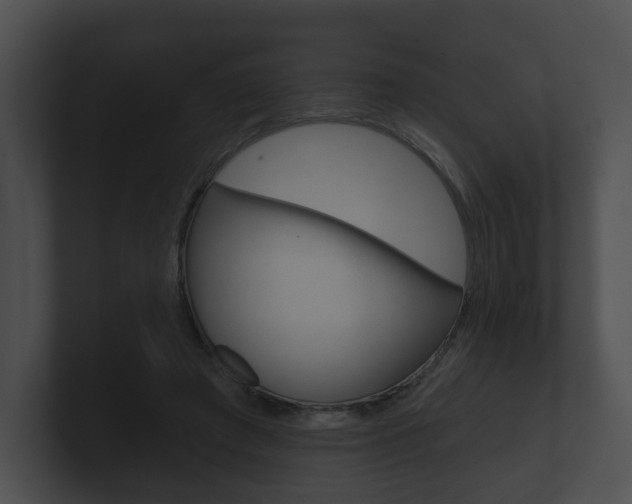 X0000100890401200806241013