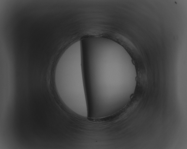 X0000100890404200806241013