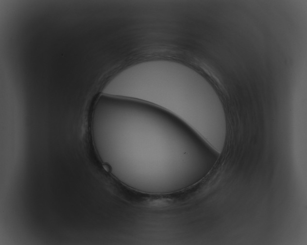 X0000100890407200806241013
