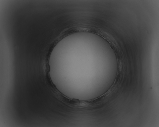 X0000100890409200806241013