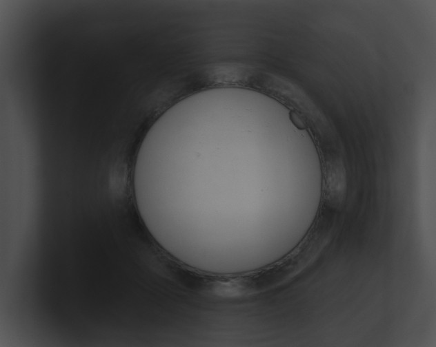 X0000100890411200806241013