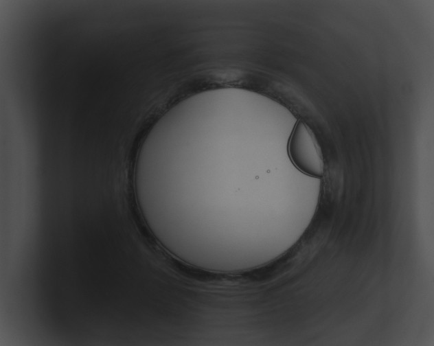 X0000100890412200806241013