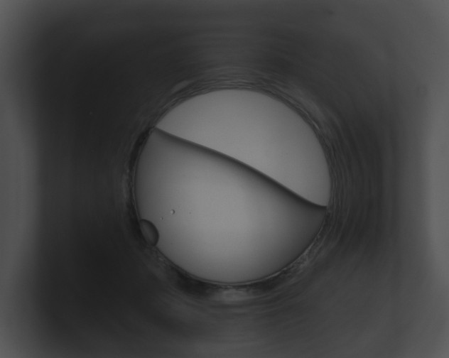 X0000100890413200806241013