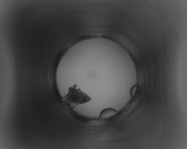 X0000100890414200806241013