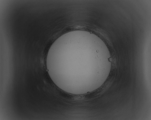 X0000100890415200806241013