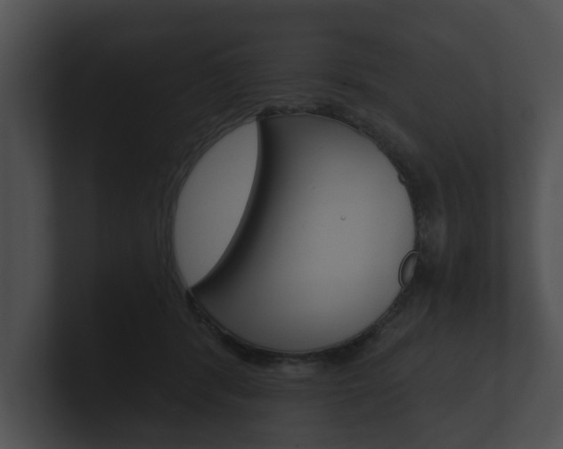 X0000100890416200806241013