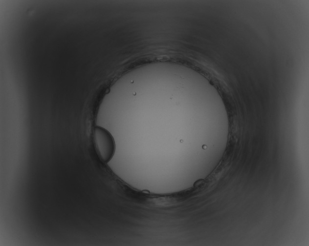 X0000100890417200806241013