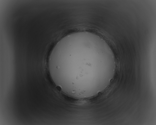 X0000100890418200806241013