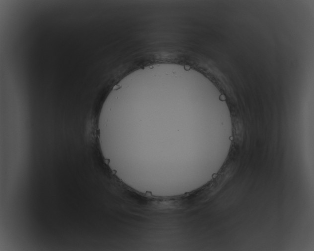 X0000100890419200806241013
