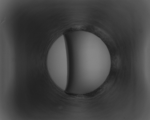 X0000100890420200806241013