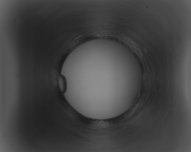 X0000100890421200806241013