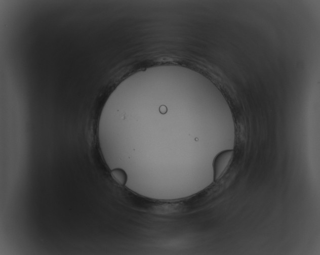 X0000100890422200806241013