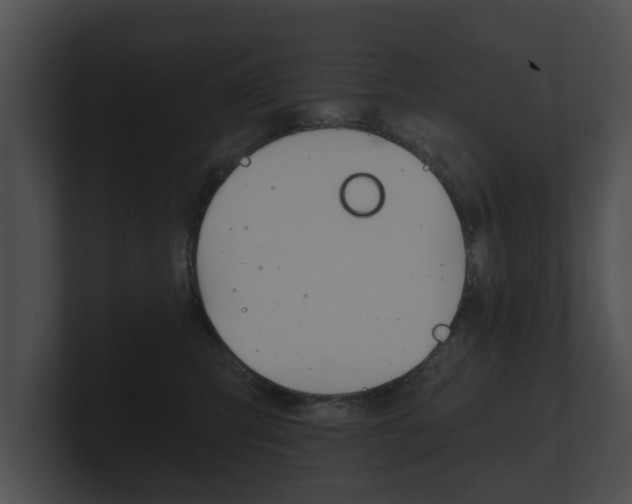 X0000100890423200806241013