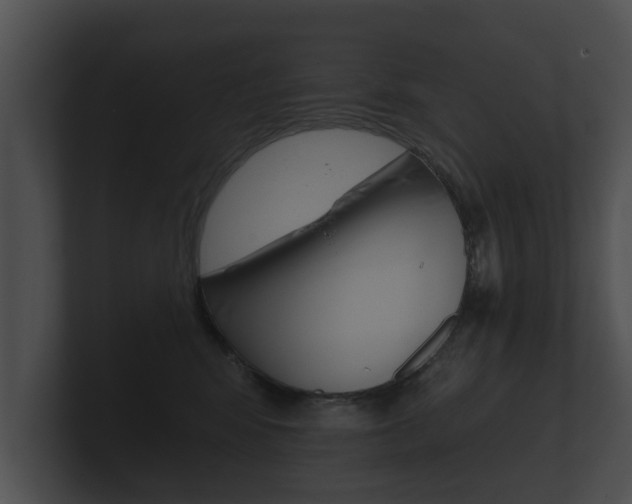 X0000100890424200806241013