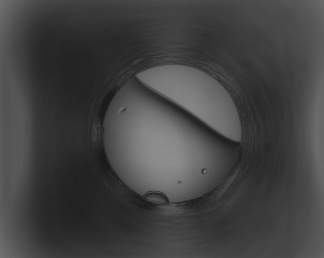 X0000100890425200806241013