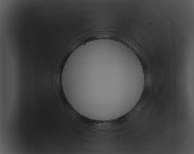 X0000100890426200806241013