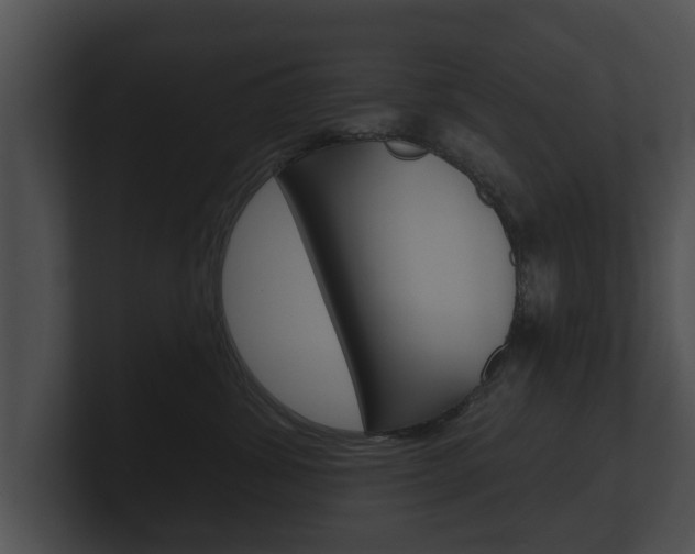 X0000100890428200806241013