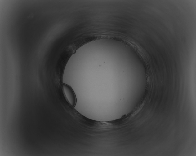 X0000100890429200806241013