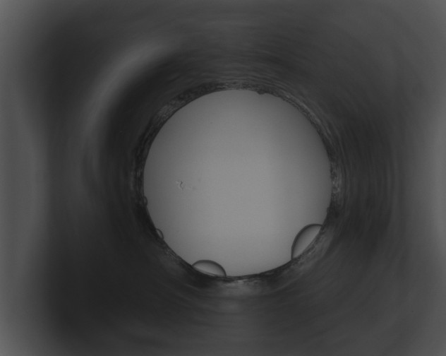 X0000100890430200806241013