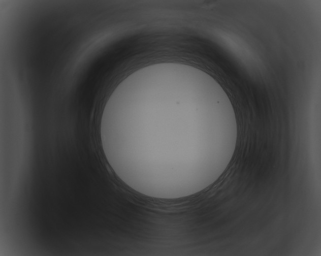 X0000100890431200806241013