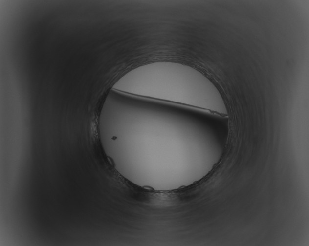 X0000100890432200806241013