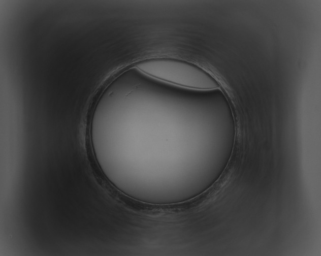 X0000100890434200806241012