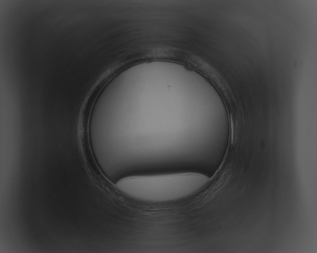 X0000100890435200806241012