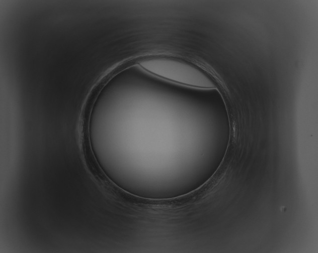 X0000100890436200806241012