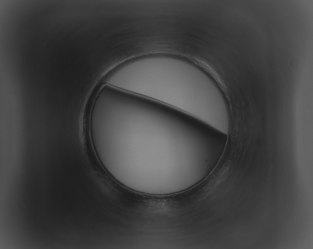 X0000100890439200806241012