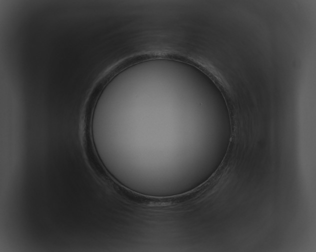 X0000100890440200806241012