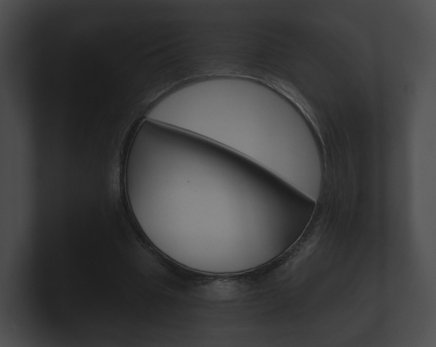 X0000100890441200806241012