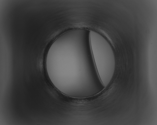 X0000100890443200806241012