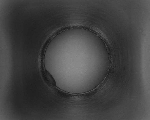 X0000100890444200806241012