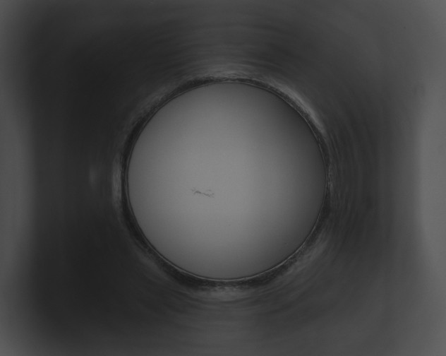 X0000100890445200806241012