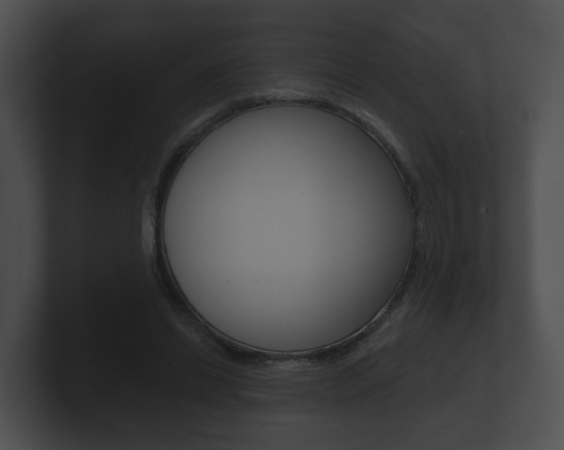 X0000100890446200806241012