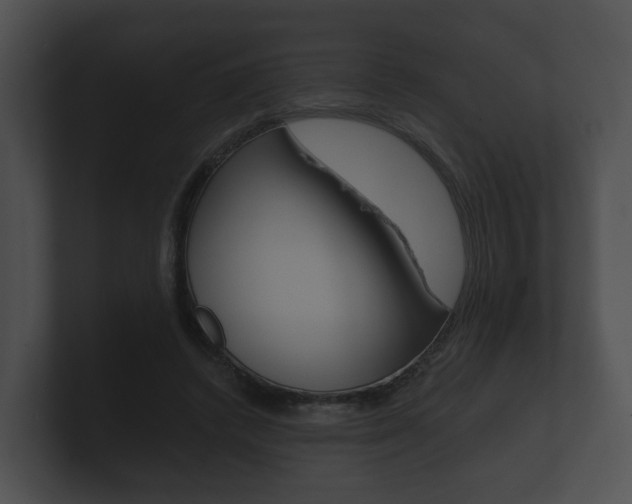 X0000100890448200806241012