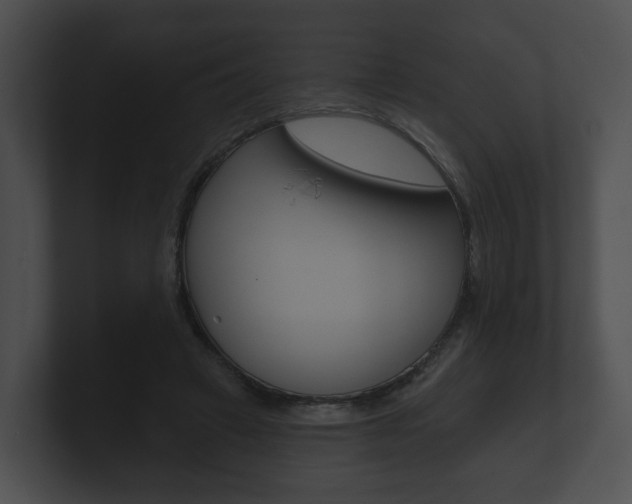 X0000100890449200806241012