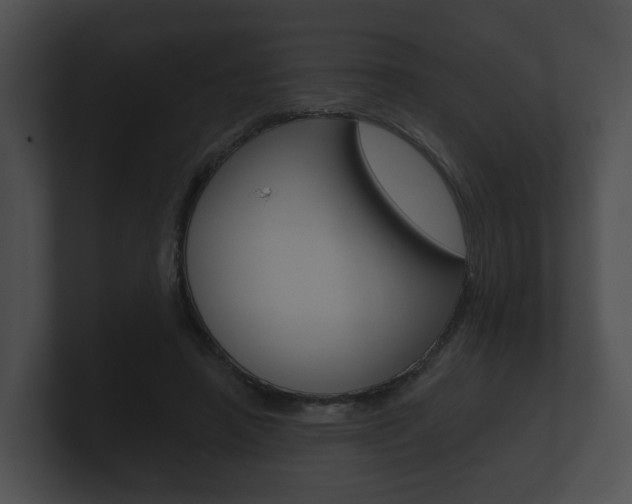 X0000100890450200806241012