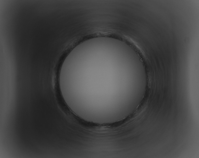 X0000100890451200806241012