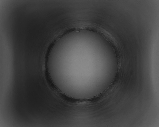 X0000100890452200806241012