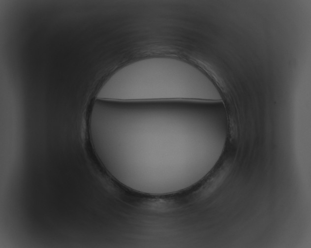 X0000100890453200806241012
