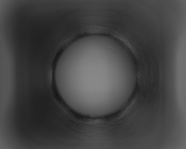 X0000100890454200806241012
