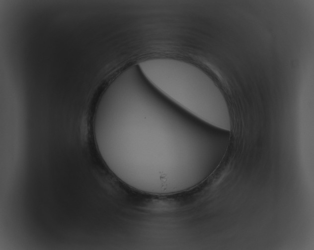 X0000100890455200806241012