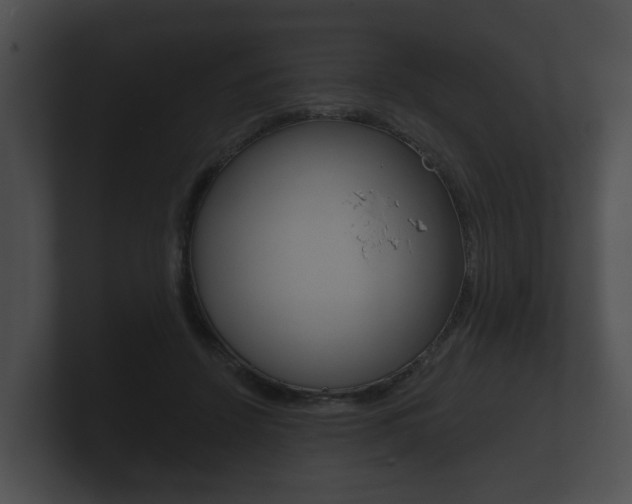 X0000100890456200806241012