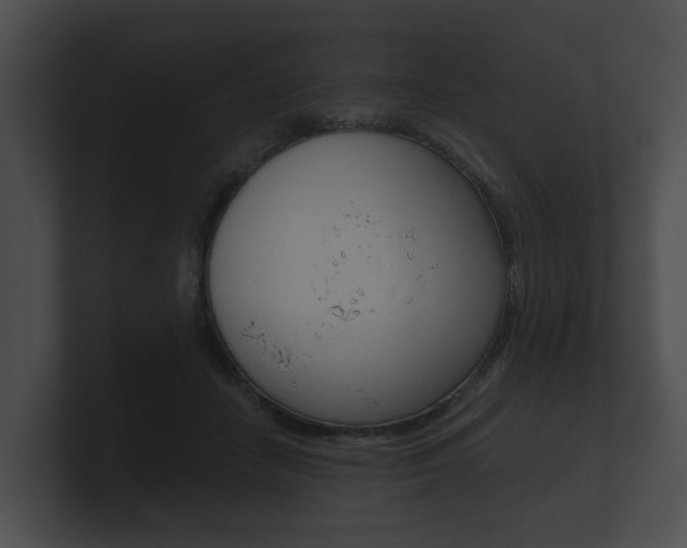 X0000100890458200806241012