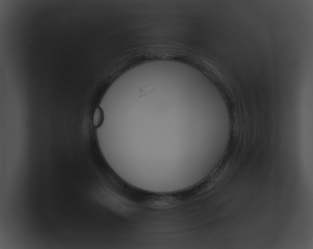 X0000100890459200806241012
