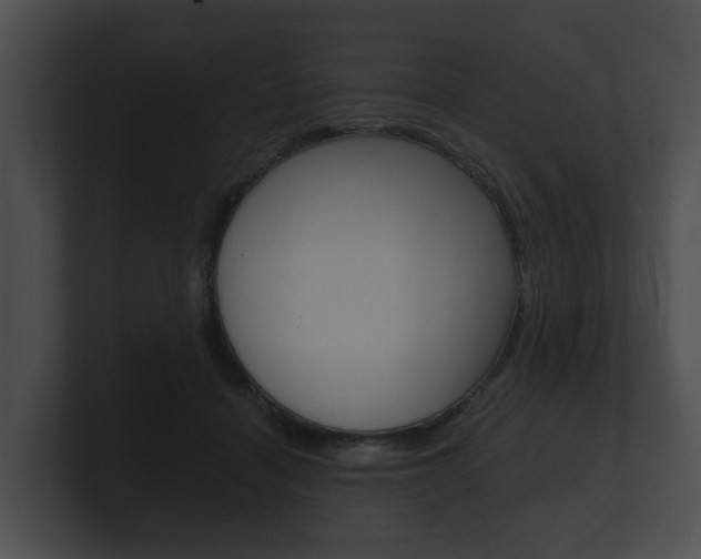X0000100890460200806241012