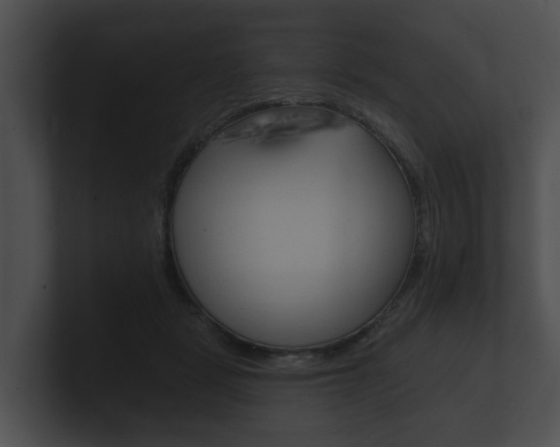 X0000100890461200806241012